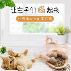 Nouveau jouet léger de décompression en plumes pour chats, pour le nettoyage des dents, à mâcher, comestible, à la catnip rafraîchissante, jouet multi-plateformes pour animaux de compagnie - Product Image 2