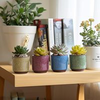 Petit pot de fleurs en céramique écologique de 2,5 pouces avec trou de drainage, finition glacée effet craquelé, pour plantes succulentes et cactus