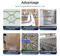 Caisse gabion en treillis métallique galvanisé avec service de soudage de trous hexagonaux par pliage et découpe, type expansé