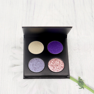DIY 4 Couleurs Lumineux Néon Glitter Mat Shimmer Palette de Maquillage Poudre Ombre à Paupières Hautement Pigmentée - Product Image 3