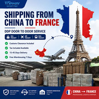 Services logistiques efficaces, transitaire international DDP Suède, fret de la Chine vers l'UE, France