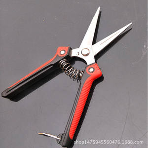 Sécateur en acier inoxydable avec lame de 70 mm, manche rouge, cueilleur de fruits pour le jardinage avec mécanisme de retour à ressort - Product Image 1