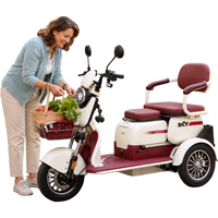 Tricycle électrique à 3 roues pour adultes en Amérique du Sud, moteur 1000W, durable pour les trajets urbains et la logistique rurale