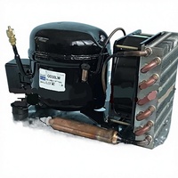 Mini-réfrigérateur QD30HCQD52HC, refroidisseur d'eau, unité de condensation hermétique TECUMSEH, filtre de condenseur, réfrigérant R134A, respectueux de l'environnement