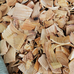 You Song Jie Natural Wild en rodajas Lignum Pini Nodi Cortes para hierbas - Product Image 3