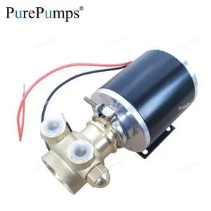 speed controlling 12 DC brushless motor pest fog creating high pressure graphite vane impeller brass pump