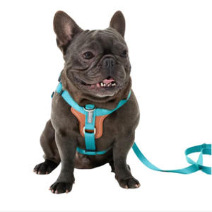 Üreticileri yeni tasarım lüks Pet köpek koşum Set ayarlanabilir hiçbir çekme eğitim köpek yelek aksesuarları tasma köpekler için - Product Image 3