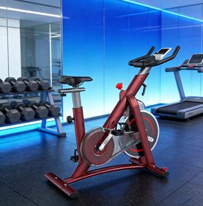 Manyetik Dirençli Egzersiz Bisikleti Kapalı Alan Bisikleti Sabit Fitness Bisikleti Ev Spor Salonu Antrenmanı İçin - Product Image 5