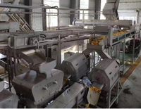 Hoge kwaliteit fruitontpitter en -pulpmachine