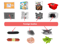 Máquina de Inspección por Rayos X para Carne Congelada, Sistema de Detección de Objetos Extraños en Metal, Vidrio y Piedra con Imágenes Detalladas