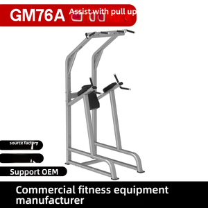 Torre de Ejercicios Multifuncional de Acero Q235 para Gimnasio, Estación de Entrenamiento para Brazos y Espalda, Barra de Dominadas, Elevación de Piernas - Product Image 2