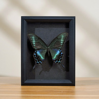Cadre photo de spécimen papillon creux de 2cm fait à la main DIY commémoratif MDF verre Table essorage papier cadre fleur séchée