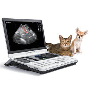 VINNO 5 - Ecógrafo Veterinario Portátil para Ovejas, Perros y Cerdos, Máquina de Ultrasonido Doppler a Color - Product Image 1