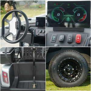 Voiturette de golf électrique Lvtong 48V 2 places, <span class=keywords><strong>buggy</strong></span> de luxe avec port USB pour adultes, transport en station balnéaire - Product Image 2