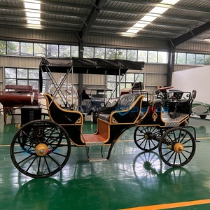 Carro de lujo para turismo negro y dorado, directo de fábrica, carro eléctrico de turismo con techo negro - Product Image 6