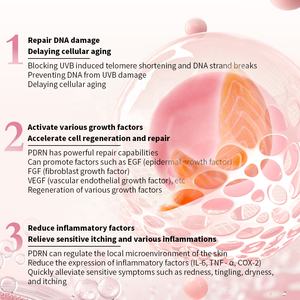 Venta al por mayor coreano salmón DNA PDRN Rosa hialurónico crema hidratante reafirmante resplandor instantáneo reafirmante reparación de la piel - Product Image 5