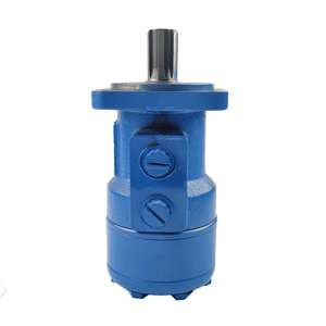 Motor Cicloidal Hidráulico Hansen Nuevo y Original BM2-200 BM2-250 BM2-315 con 1 Año de Garantía de Shandong - Product Image 3