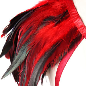 Harnais avec plumes pour femmes, Lingerie fétiche, Costume de Rave, soutien-gorge de danse Burlesque, vêtements fétichistes, haut de gamme, vente en gros - Product Image 6