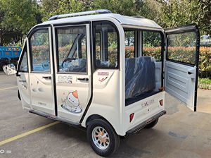 Tricycle électrique à 3 roues avec cabine fermée, scooter électrique 3 places, moteur 800W, batterie 60V 52Ah, capacité de charge - Product Image 3