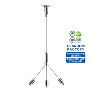 Kit de <span class=keywords><strong>suspension</strong></span> LED suspendu sur mesure pour lampe, tableau, plantes - Vente directe usine - Product Image 1