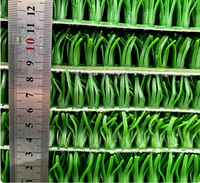 Tapis en herbe dorée sur mesure, réversibles et lavables, en PVC durable, adaptés à l'exploitation minière aurifère.