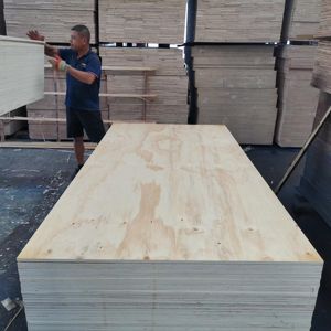 Contrachapado de madera contrachapada de pino comercial CDX de 18mm contrachapado estructural de pino de 12mm y 15mm de Vietnam - Product Image 2