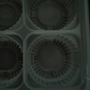 6 8 lỗ nhựa vỉ Bánh Mochi bao bì khay tùy chỉnh bánh ngọt trắng <span class=keywords><strong>Cookie</strong></span> vỉ khay bao bì - Product Image 3