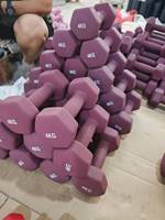 Haltère réglable galvanisé personnalisé en gros pièce carrée poids gratuits pour l'exercice d'entraînement en salle
