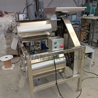 Enkelkanaals en dubbelkanaals fruitpulp extractor machine, tomatenpulpmachine, automatische fruitpulpmachine voor verwerkingsfabrieken