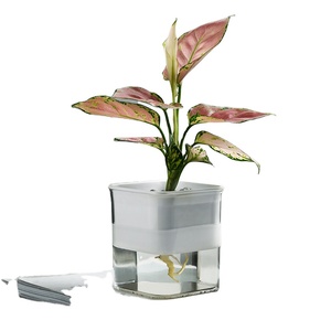 Self Watering Flower Pots Planter Plastic Simple Style Simple Style Pot Modern Plastic Pot