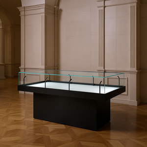 Vitrine de musée noire 180x80x105 cm avec couvercle en verre et éclairage LED pour expositions sur table - Product Image 3
