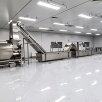 Geavanceerde productielijn voor fruitdranken en fruitverwerkingsapparatuur