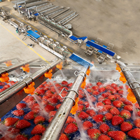 Machine industrielle de séchage et de traitement des mangues, ligne de nettoyage et de séchage des fruits avec système d'ozone, machines de lavage et d'emballage des dattes