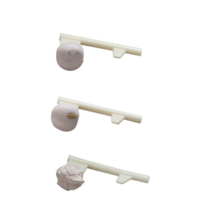 DARHMMY前立腺検査マネキン医療科学トレーニングツール手術検査モデルBOU/L63中国製（上海） - Product Image 3