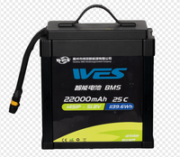 Baterai Drone Pertanian WES ADB 22000mAh 25C 14S1P BMS Lithium Ion Pack 5000 Siklus Penggunaan -20~45