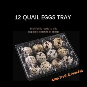 Common 12 Packs Quail Egg Tray By OEM In PET