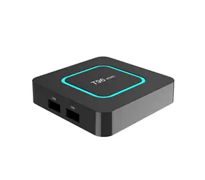 Fabriek Whosale T96mini Allwinner H313 Quad Core 2.4G 5G Dual Wifi Android 10 4K Smart Tv Android Tv Box