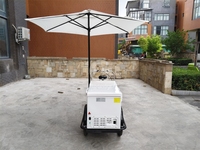 Chariot à glaces mobile en métal personnalisé, tricycle à glaces avec parasol