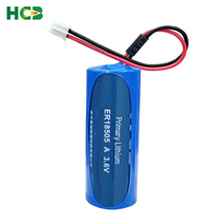 Batterie au lithium non rechargeable HCB ER18505 avec connecteur 3,6 V pour compteur d'eau intelligent, déchargeur statique, localisateur GPS