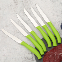 Ensemble de 6 couteaux à steak dentelés en acier inoxydable avec manche en PP, boîte personnalisée, couleurs variées, vente directe usine, couverts de cuisine