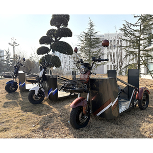 Triciclo Eléctrico <span class=keywords><strong>para</strong></span> Personas con Discapacidad, Scooter de Movilidad Plegable - Product Image 6