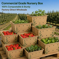 Boîte d'emballage personnalisée en carton perforé pour fruits, bac ventilé en kraft blanc pour baies, raisins, tomates, vente en gros OEM