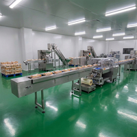 SZ-801W Hocheffiziente Servo-Vakuum-Verpackungsmaschine mit 50 Beuteln/Min, Untere Folienzuführung, Horizontaler Einsatz, Lochstanzfunktion für Täglichen Gebrauch