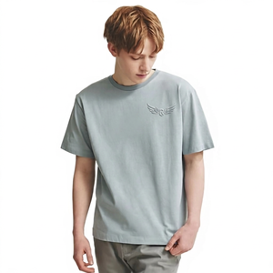Camiseta de Manga Corta Gris Claro para Hombre con Logotipo de Ala Bordado, Cuello Redondo, Corte Regular, Informal, de Algodón - Product Image 1