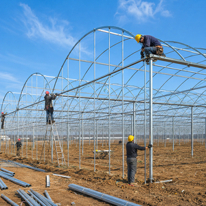 Serre en film multi-spans personnalisée pour la production commerciale de légumes, l'agriculture hydroponique et les projets d'agriculture intelligente - Product Image 6