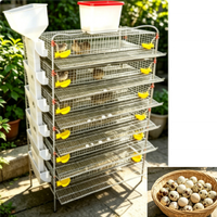 Cage d'élevage durable pour cailles et perdrix avec ligne d'eau intégrée et nichoir à convoyeur pour fermes à haut rendement