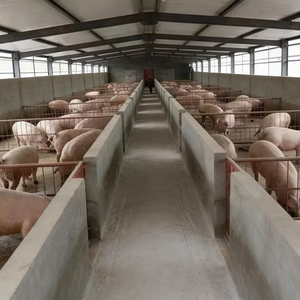 Estructura de Granja Prefabricada Económica de Paneles Sándwich de Acero para Corrales de Cerdos, Moderna y Comercial - Product Image 1