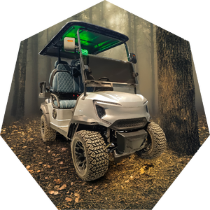 Voiturette de golf électrique haute performance de qualité 2 + 2 sièges 3500W - Product Image 5