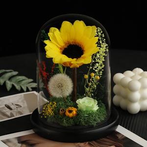 Girasol Preservado Hecho a Mano, <span class=keywords><strong>Serie</strong></span> Eterna de Lujo, Duradero de 3 a 5 Años, Cúpula de Hierba Eterna, Regalo para el Día de San Valentín - Product Image 1