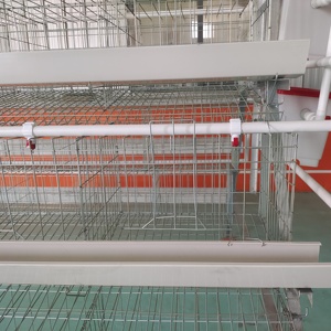 Giá Tốt Lớp Lồng 1000 Gà Gia Cầm Trang Trại Pin Gà Lồng Đúc Sẵn Đặt Gà Xây Dựng Thiết Kế Trong Bangladesh - Product Image 4